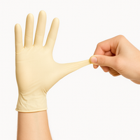 Premium Latex Gloves